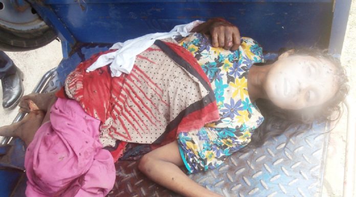 ভেড়ামারাতে সড়ক দুর্ঘটনায় নিহত ১