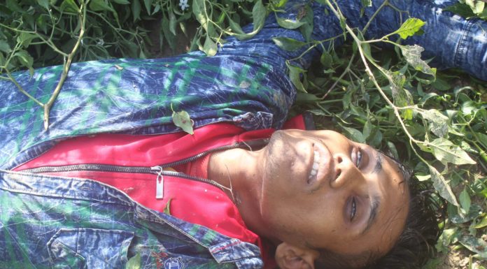 দৌলতপুর সিমান্তে চোরা কারবারী ও বিজিবি’র মধ্যে গুলি বিনিময়ে ১ জন নিহত ॥ অস্ত্র ও মাদক উদ্ধার